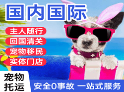 南昌昌北航空托运国际宠物托运 【国